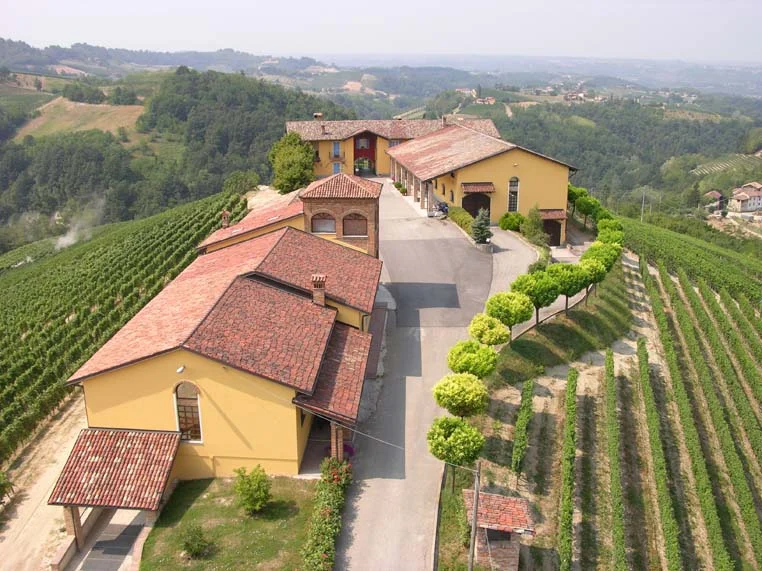 Foto azienda pallone