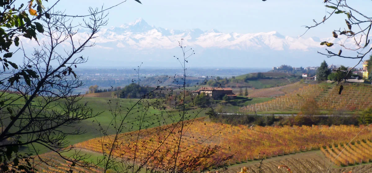 Torricella_01